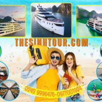 Halong Bay Tours - Halong Bay Cruises