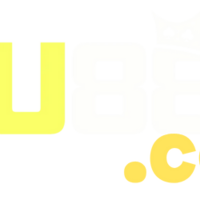 Du88 Ceo