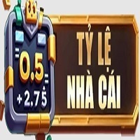 Tỷ Lệ Nhà Cái 
