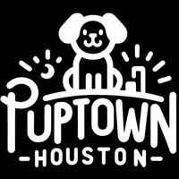 Houston dog trainer 