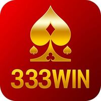 333Win fit