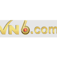 VN 6