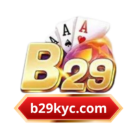 B29KYC COM