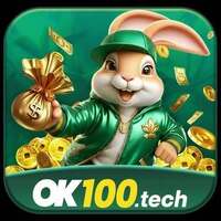Ok100 tech