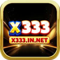 X333  IN NET 