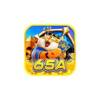 65a 