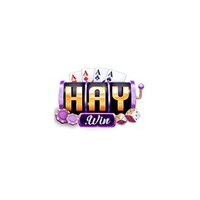 Haywin1 archi