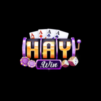 Haywin1 top