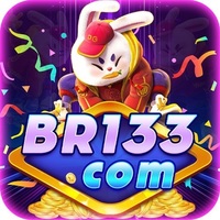 BR133 