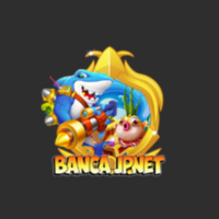 Banca jp net
