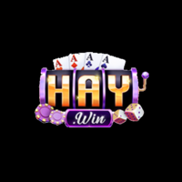 HAYWIN  