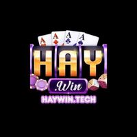 Haywin tech