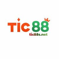 tic88s net