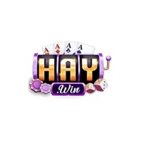 Haywin 9 io