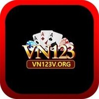 VN123  