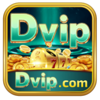 Dvip  apk