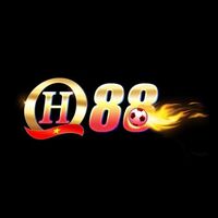 QH88 In Net