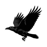 Raven Injury Law P.C.