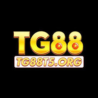 tg88 t5org