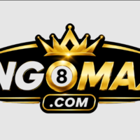 BINGOMAX 